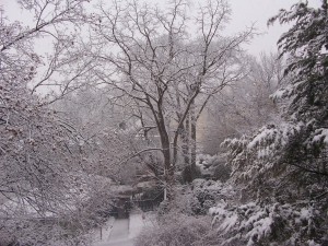 Snow, bitches!