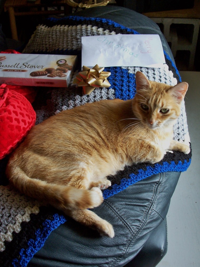 Meeowrry Christmas