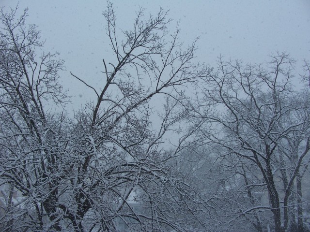 snow 3